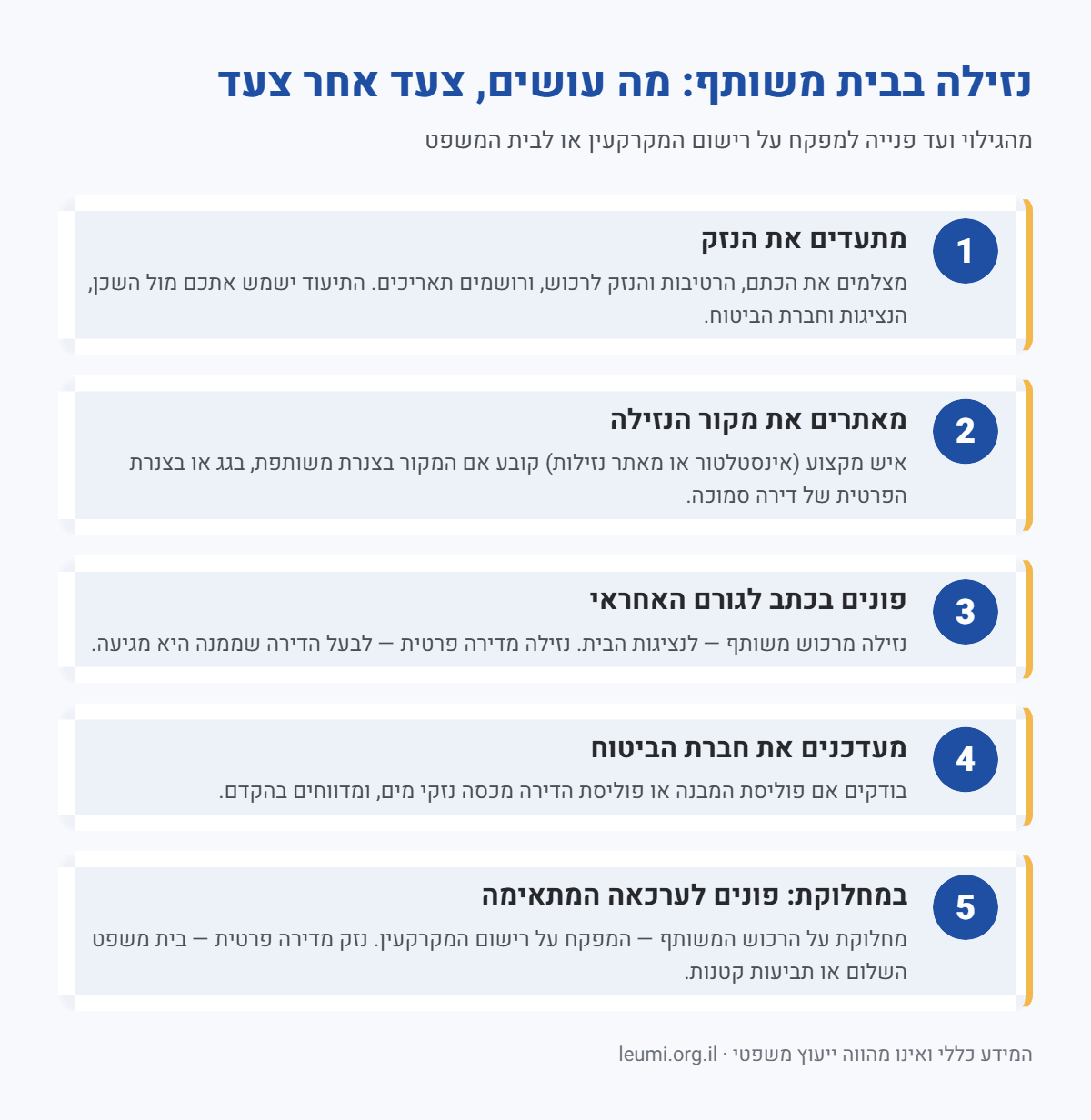 אינפוגרפיקה: חמישה צעדים לטיפול בנזילה בבית משותף, מתיעוד הנזק ועד פנייה למפקח על רישום המקרקעין